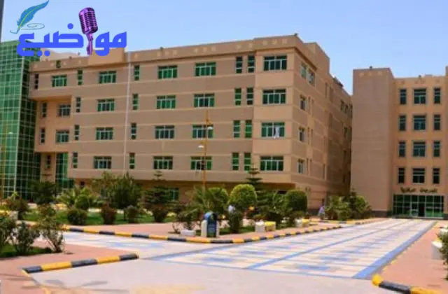 تخصصات جامعة الملك خالد