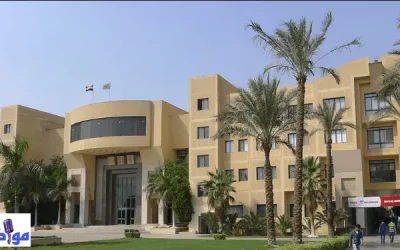 جامعة مصر الدولية وأبرز تخصصاتها