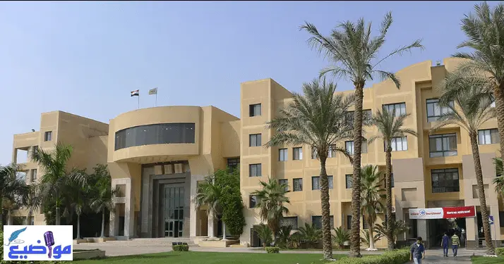 جامعة مصر الدولية وأبرز تخصصاتها