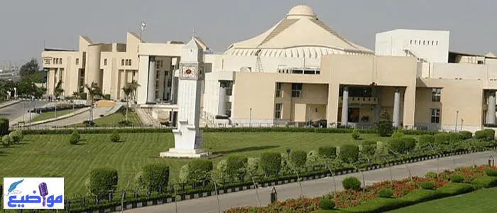 جامعة مصر